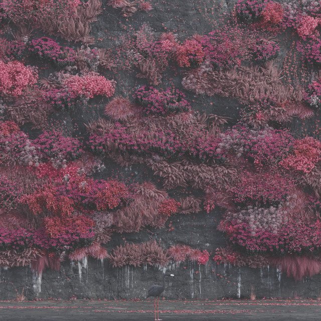 Echoes of Vulnerability: Sleep Token Unveil Their Post-Grunge Evolution in ‘Past Self’